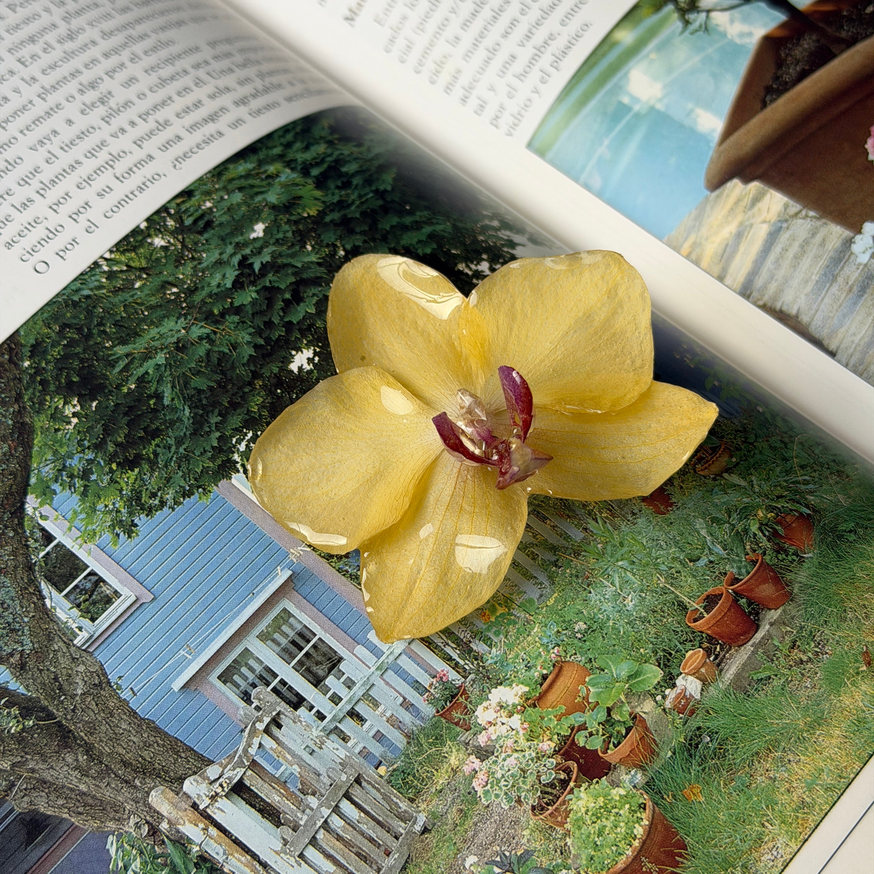 Detalle de orquídea amarilla preservada en resina sobre una página con imagen de jardín, con acabado brillante y pétalos naturales.