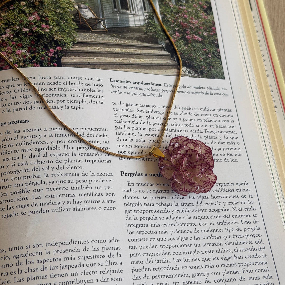 Collar Clavel Nácar sobre la página de pérgolas de un libro de jardinería