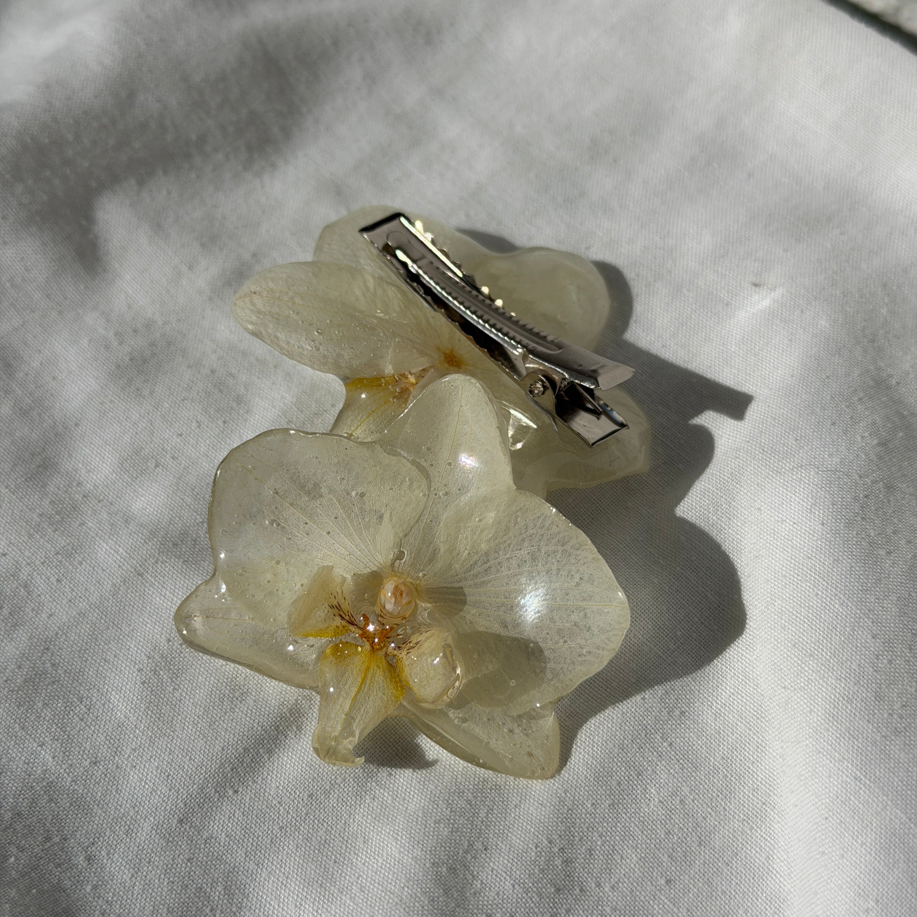 Pinza Orquídea - Éter