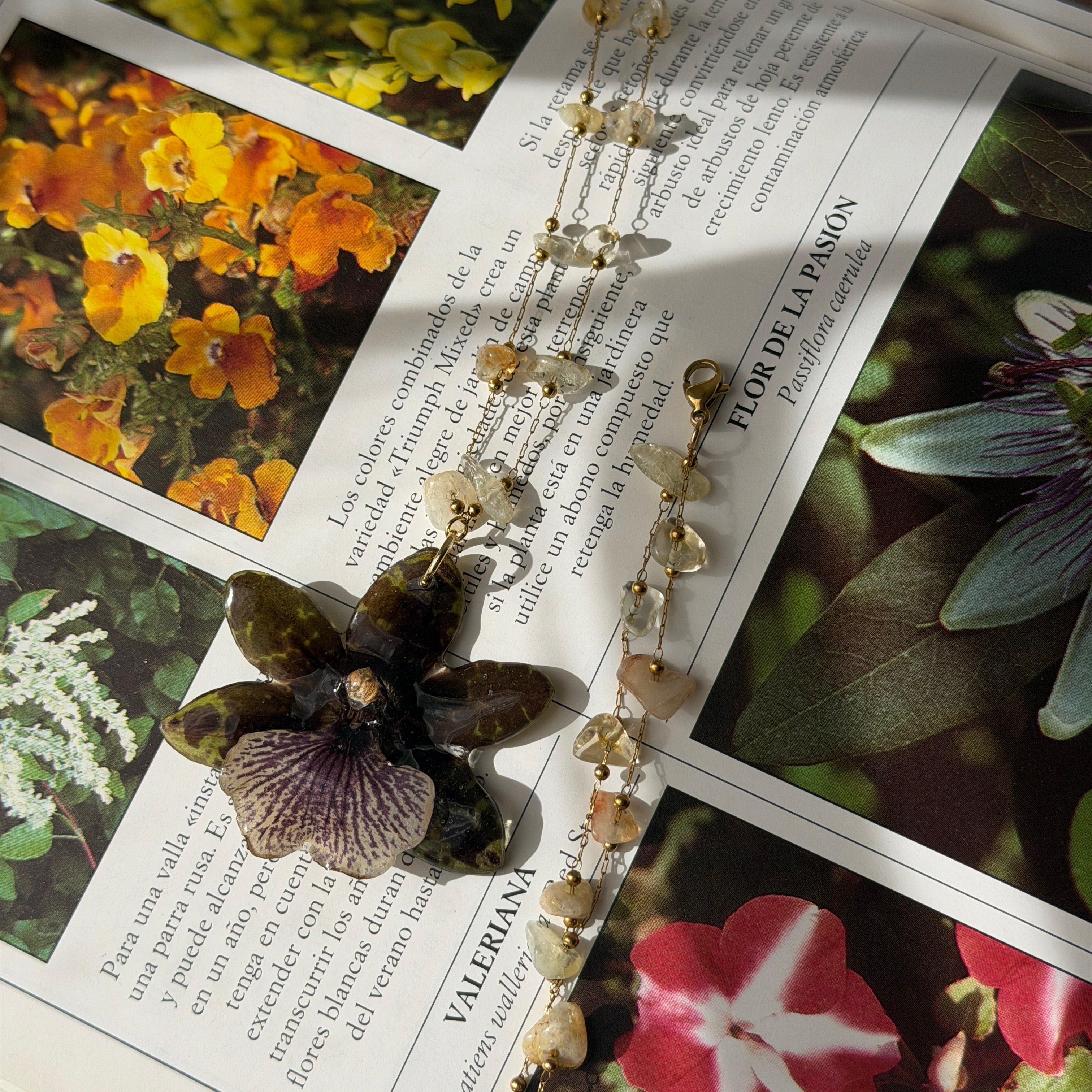 Collar Orquídea - Terra