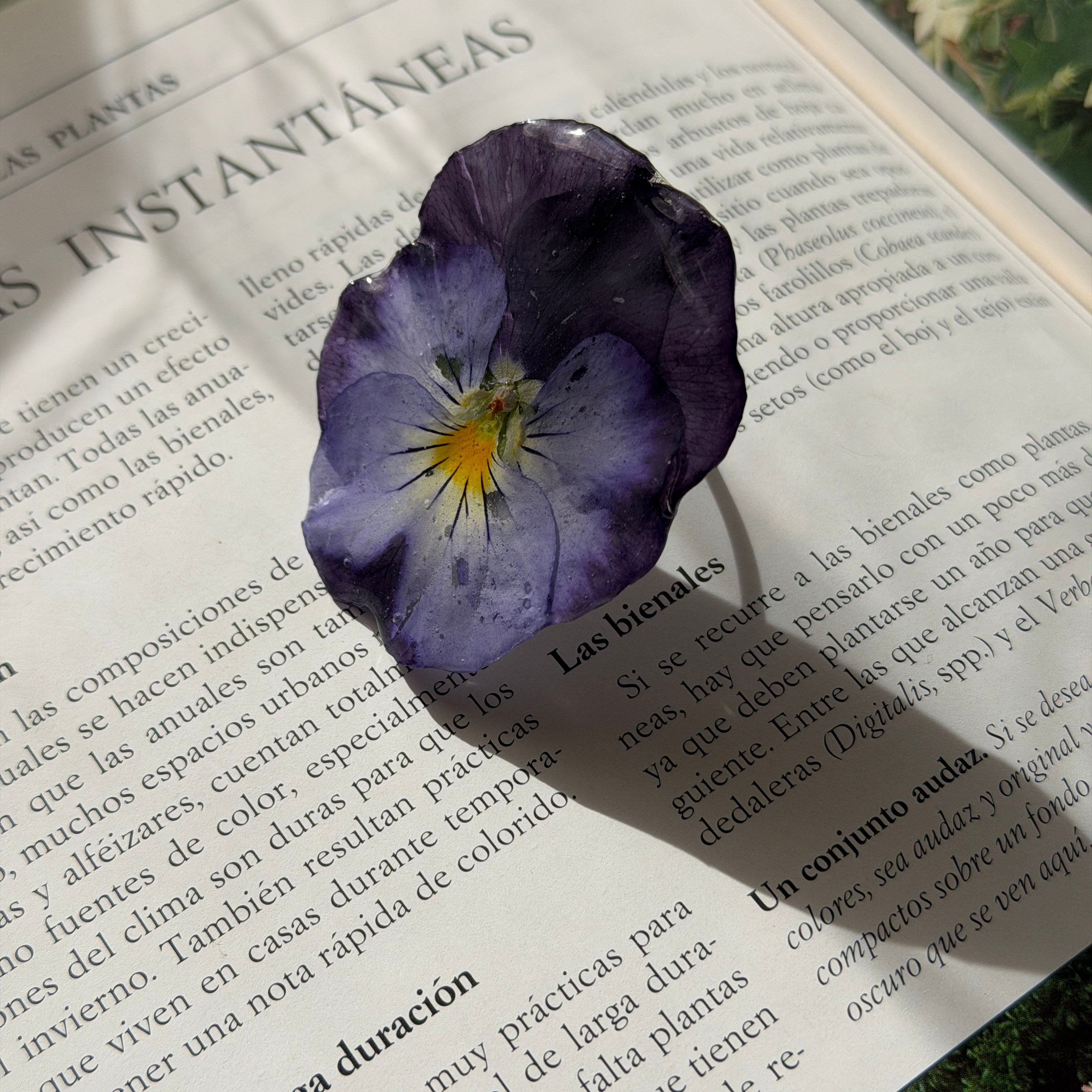Anillo Pensamiento - Violeta