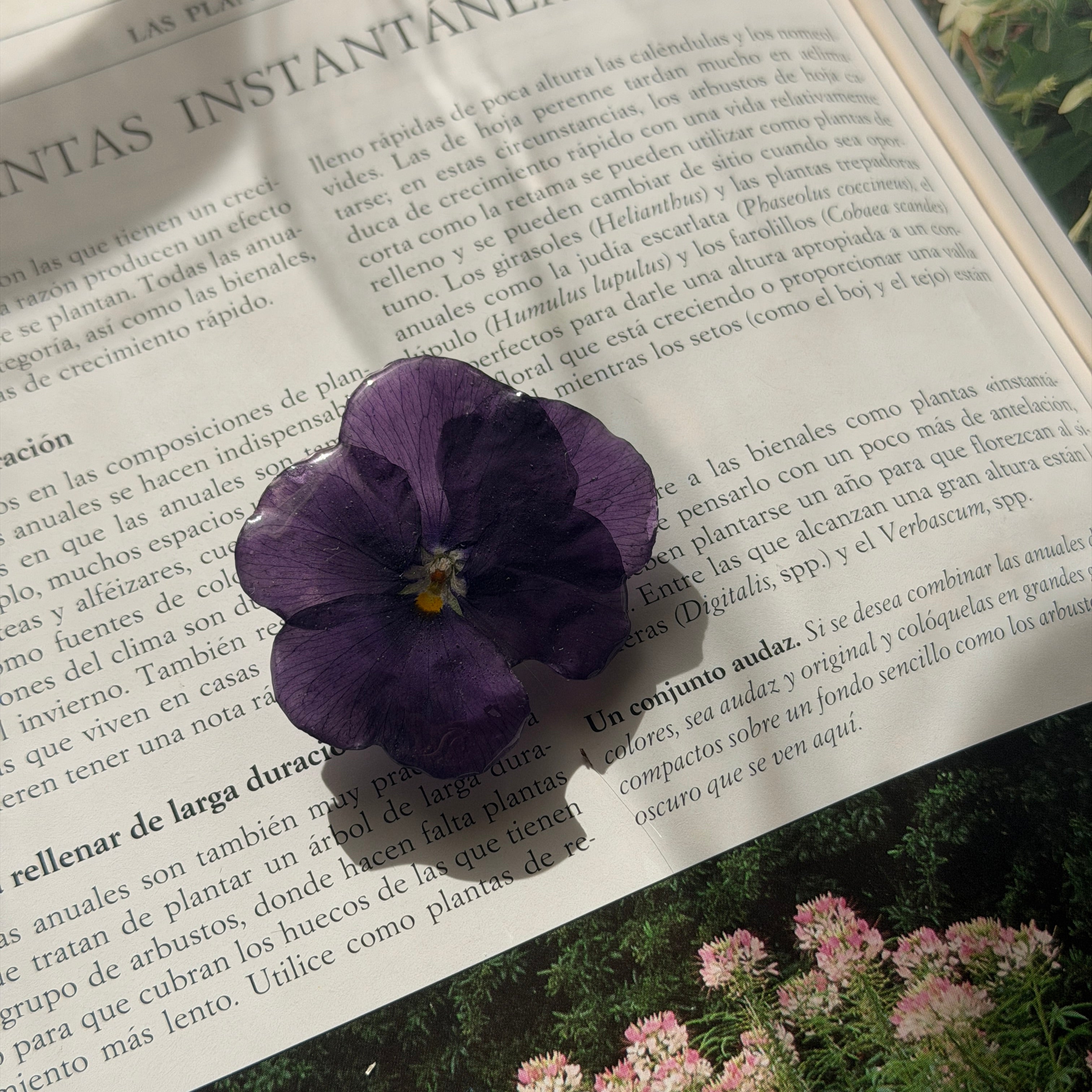 Anillo Pensamiento - Sombra