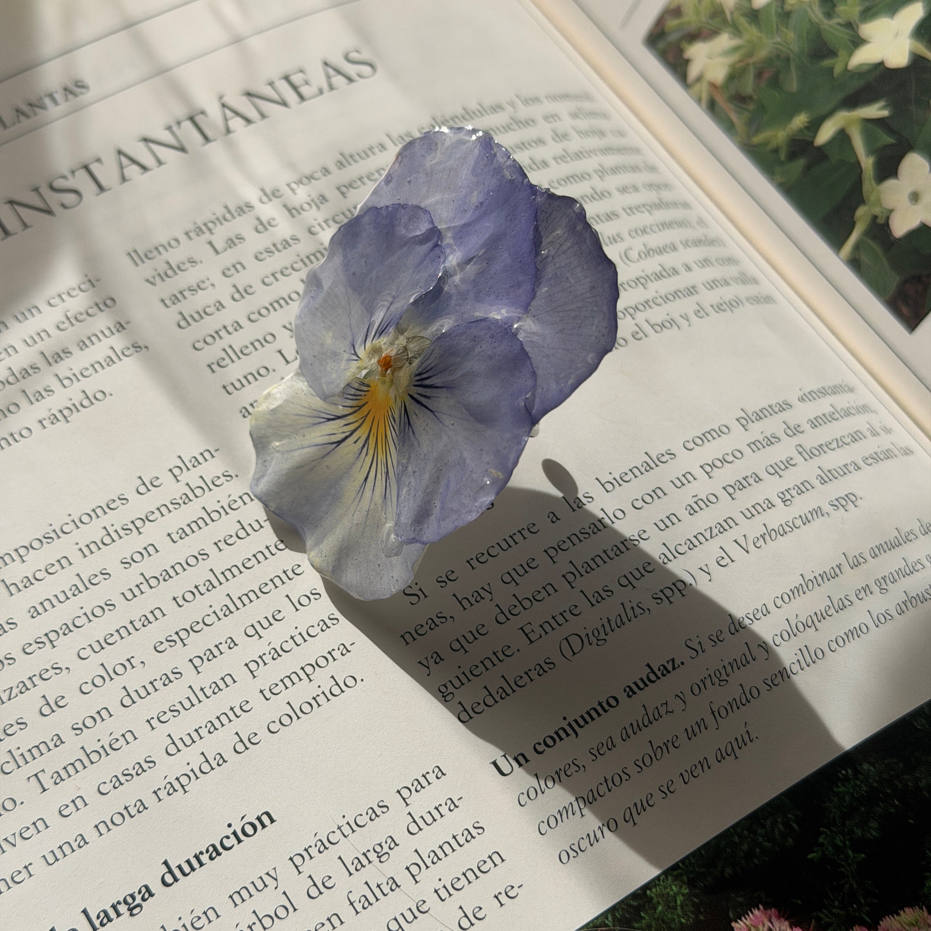 Anillo Pensamiento - Niebla