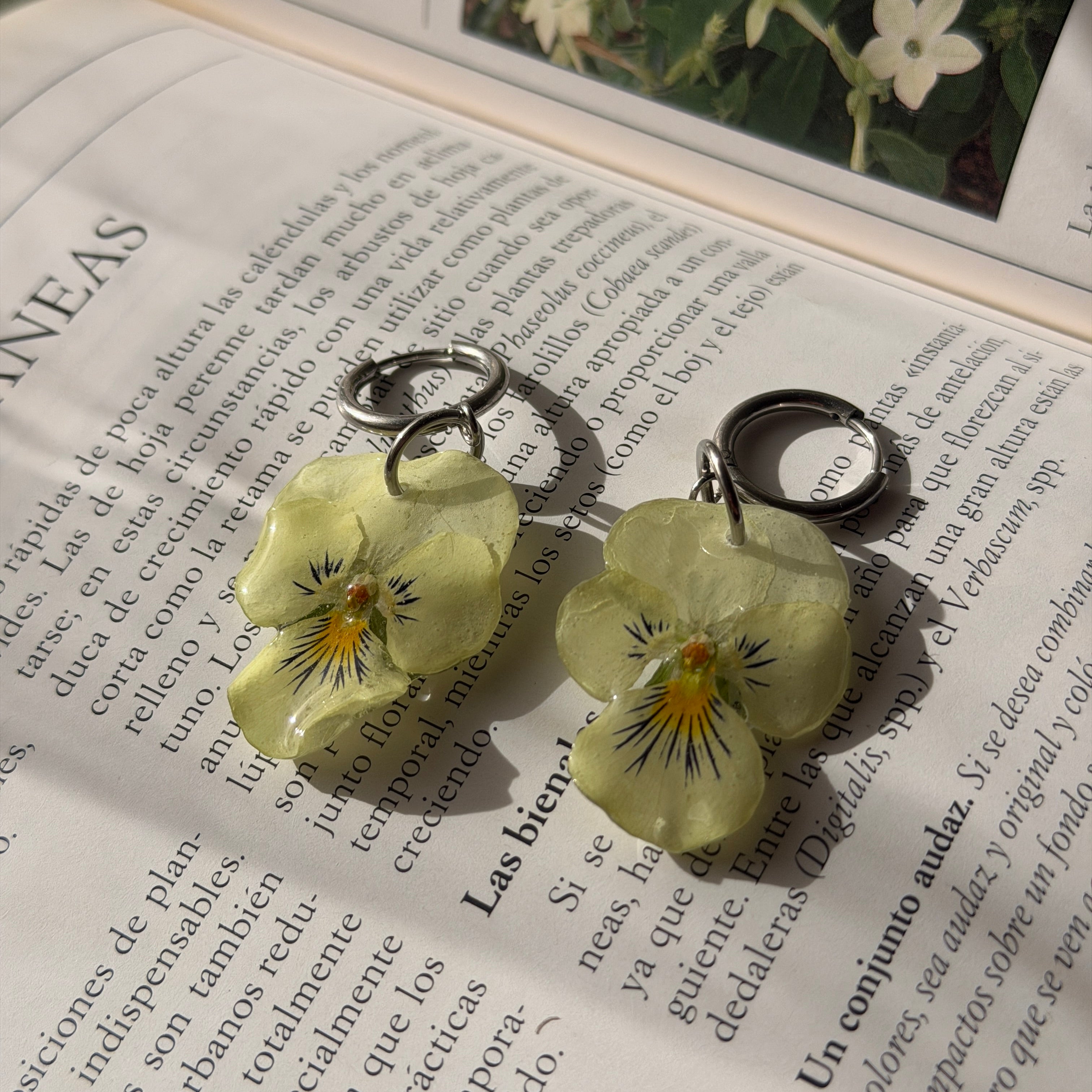 Pendientes Pensamiento Vainilla sobre libro de jardín botánico, luz natural