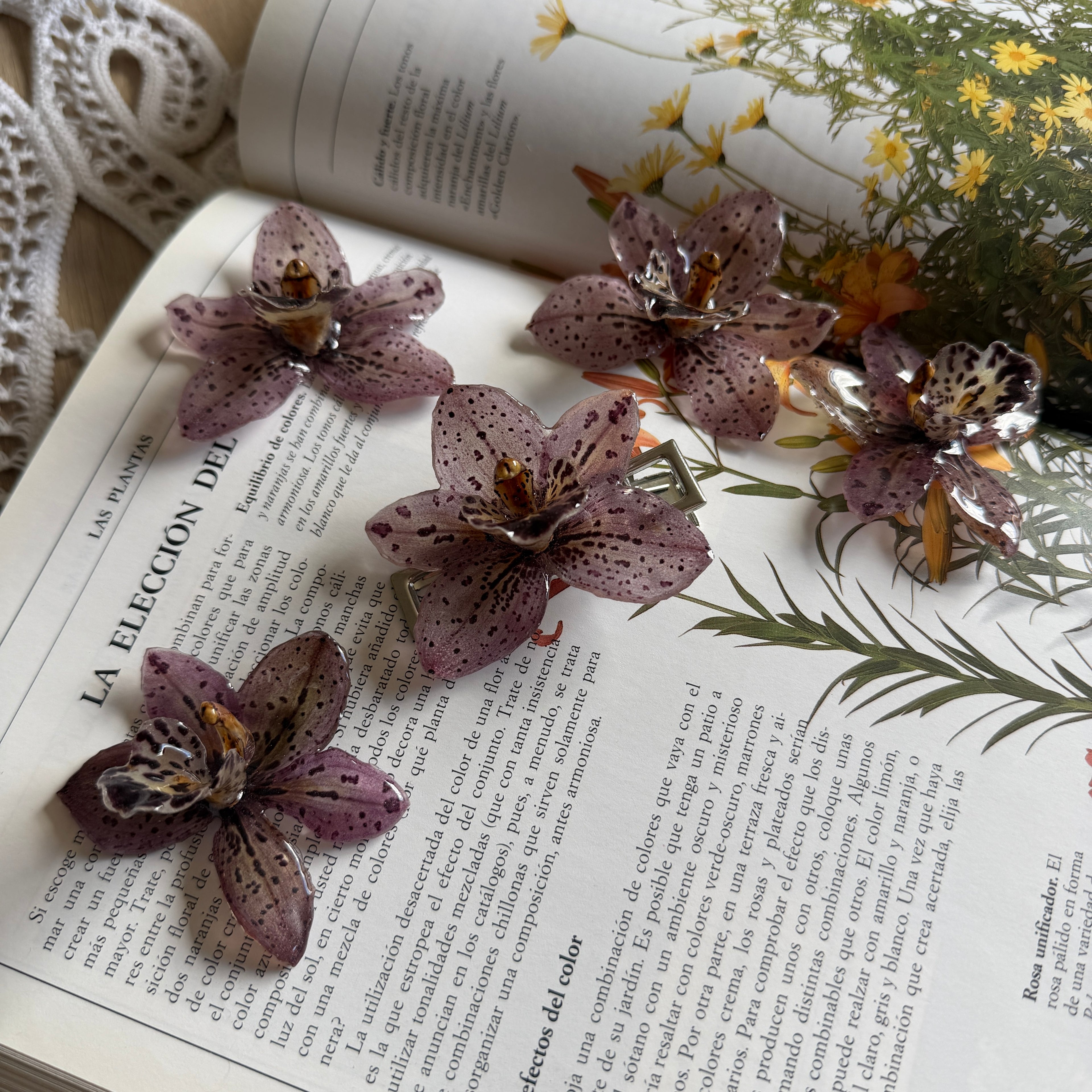 Cuatro pinzas de orquídea Velaria marrón moteada sobre libro de plantas y flores naranjas silvestres