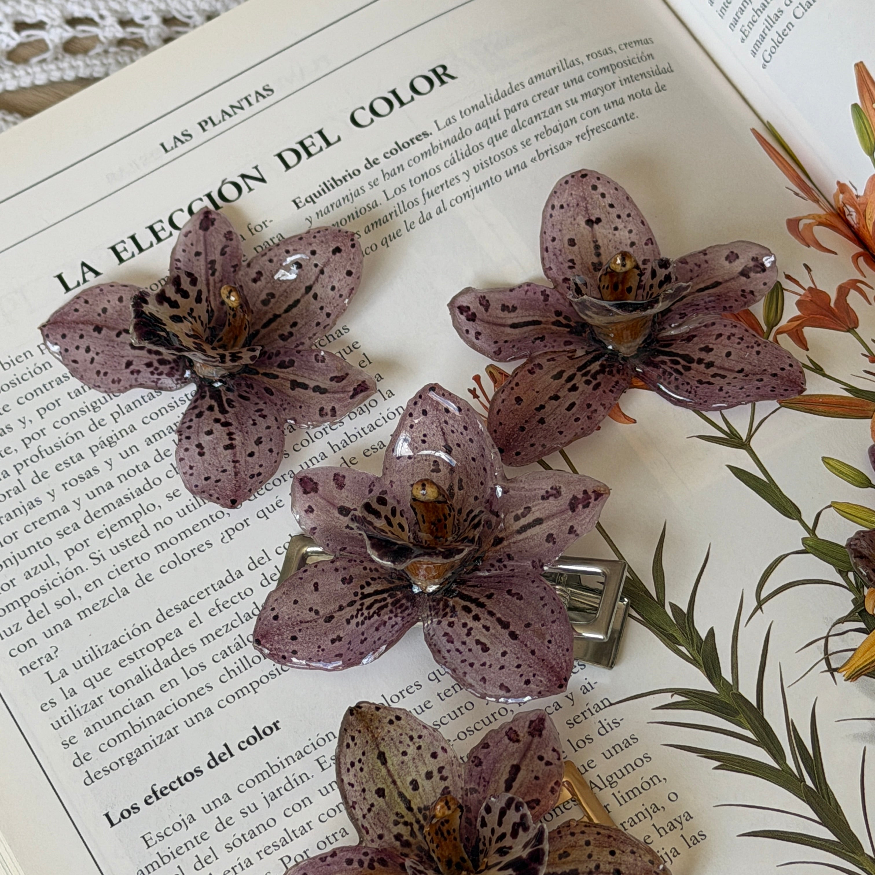 Tres pinzas de orquídea Velaria marrón moteada sobre libro de jardín con flores naranjas silvestres