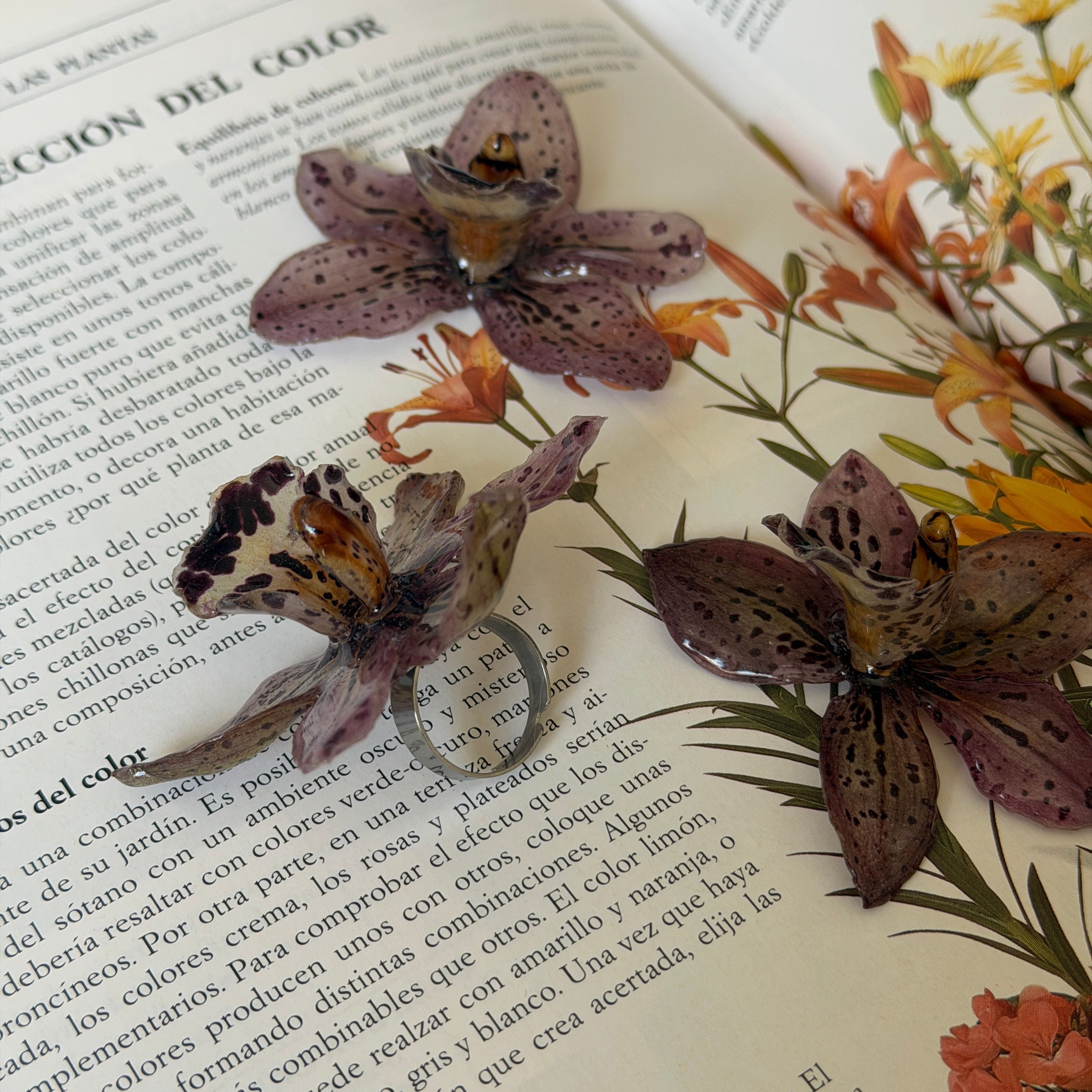 Anillo con orquídea Velaria marrón moteada y tres flores sobre libro de plantas con flores naranjas