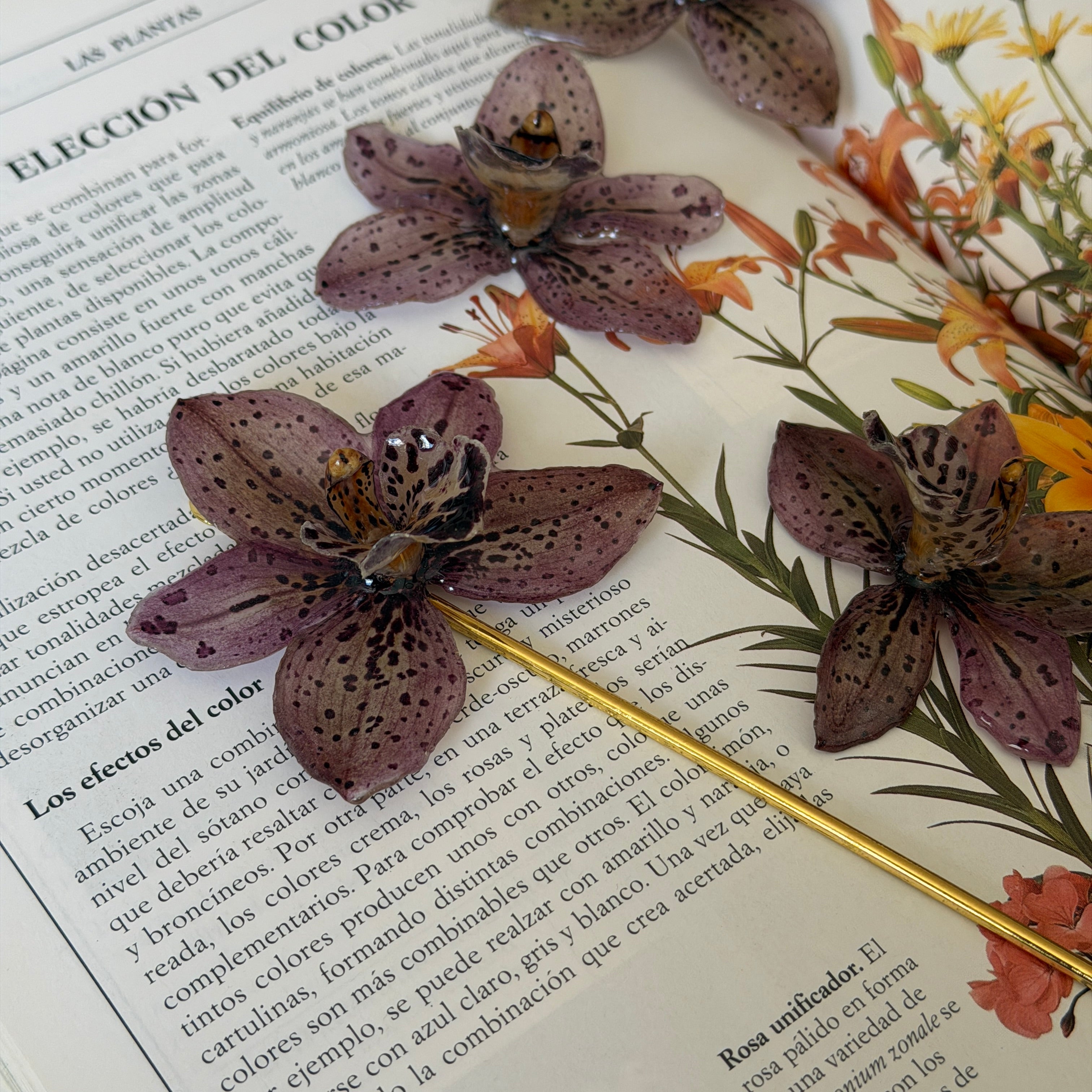 Horquillas y flores de orquídea Velaria marrón moteada sobre libro de jardín con flores naranjas