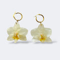 Par de pendientes de orquídea blanca marfil con aros dorados, fondo blanco