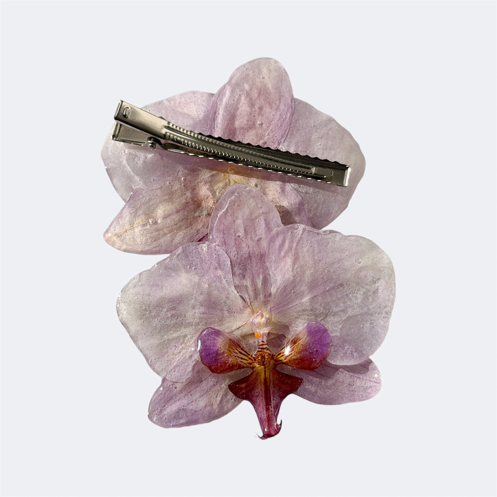 Pinza Orquídea - Amatista