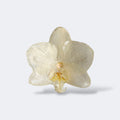 Pinza de pelo con orquídea blanca marfil en resina, fondo blanco