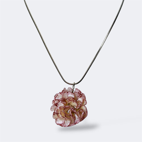 Collar Clavel Nácar con cadena plateada y flor natural preservada