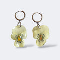 Par de Pendientes Pensamiento Vainilla con flor crema-amarillo pálido en aros plateados, fondo gris