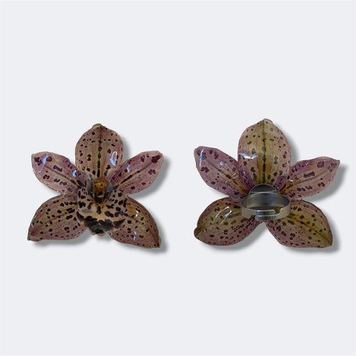 Anillo Orquídea Velaria: vistas frontal y trasera de orquídea marrón moteada preservada en aro plateado