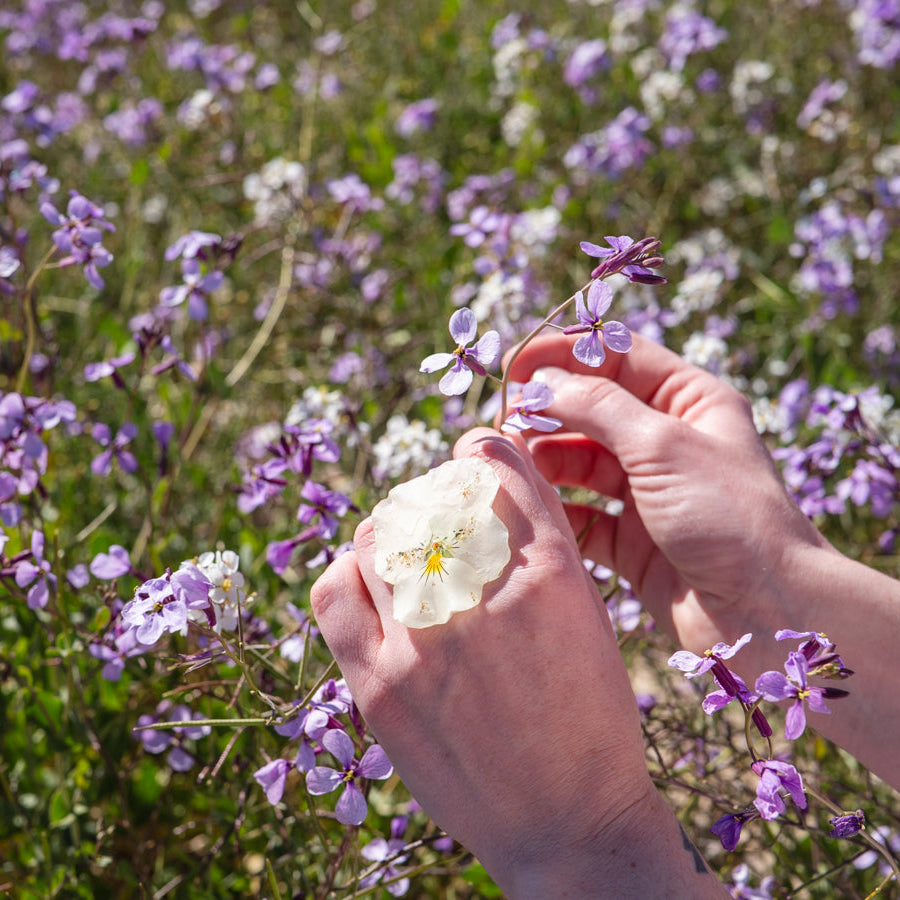 Dos anillos de pensamiento —blanco dorado y violeta— en manos sosteniendo flores silvestres