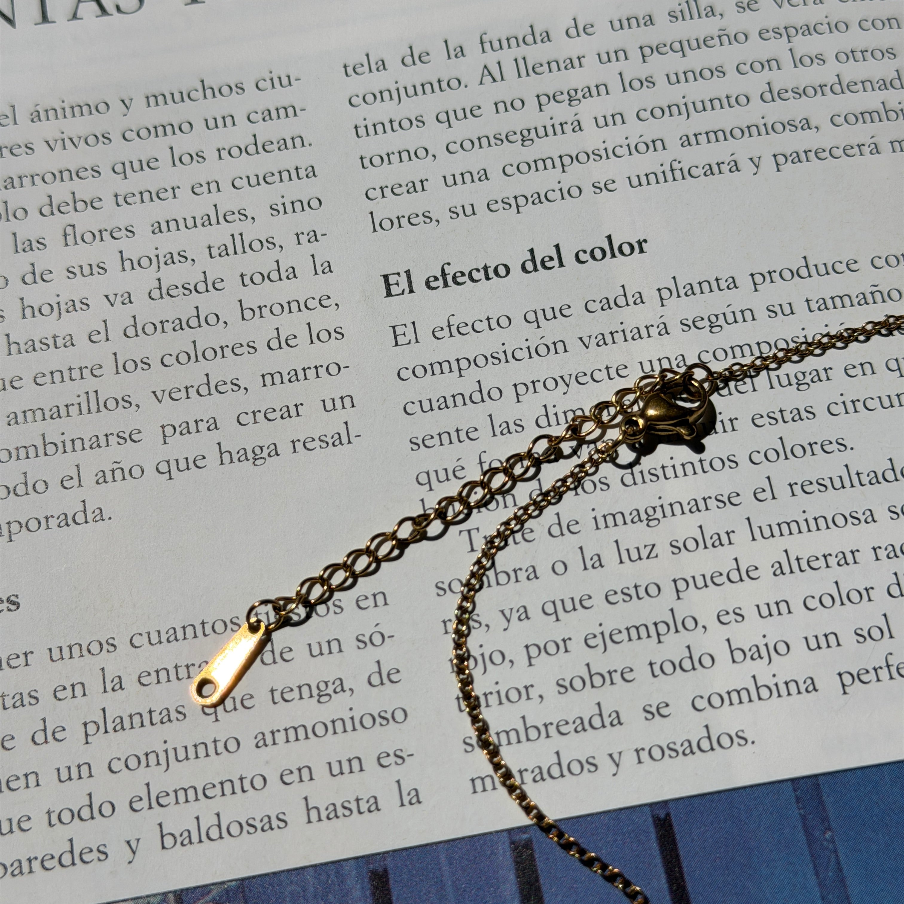 Detalle de cierre de mosqueton y cadena de acero inoxidable sobre pagina de revista