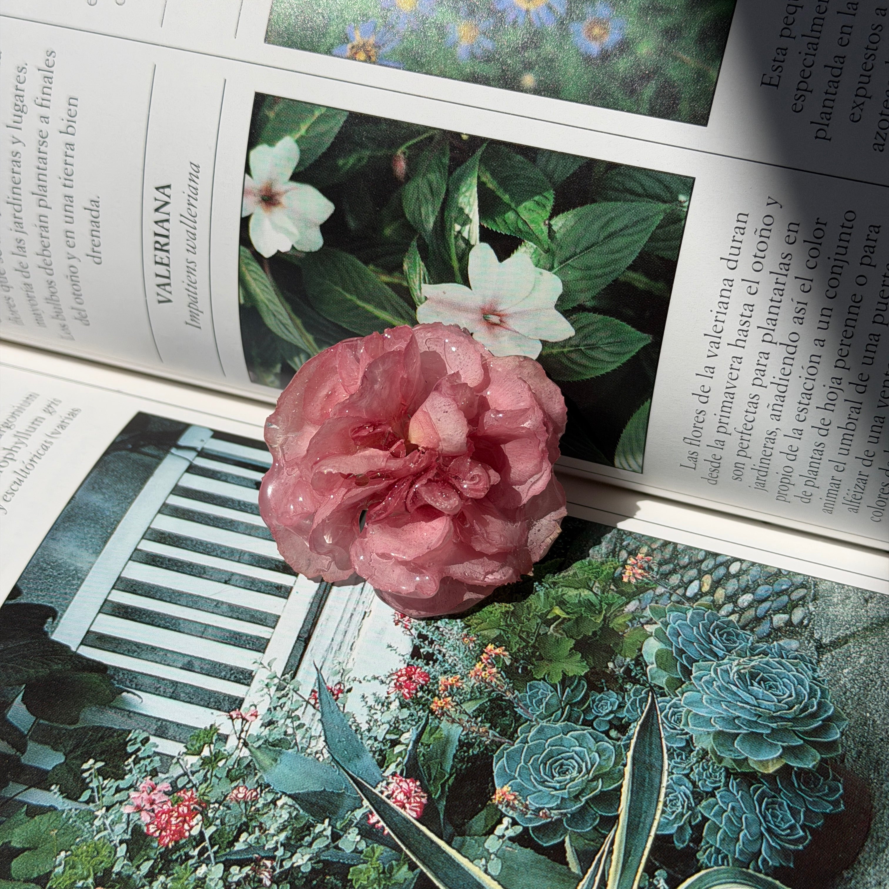 Anillo de clavel rosa encapsulado en resina sobre pagina de revista botanica