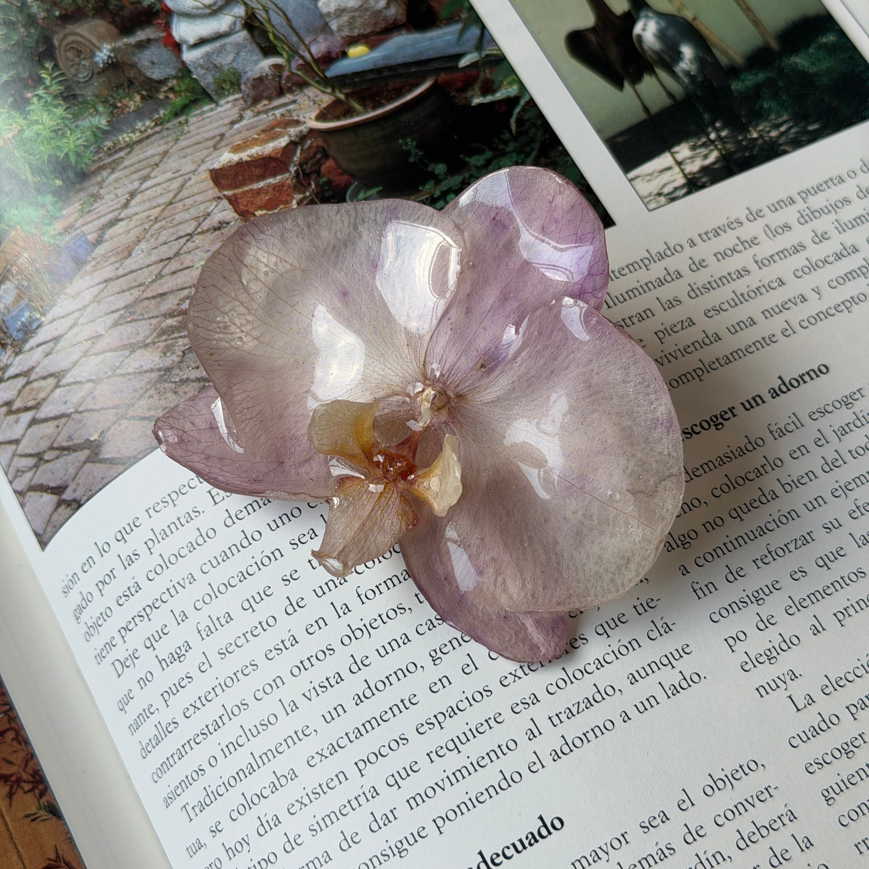 Pinza de orquídea lavanda encapsulada en resina sobre una revista de jardines