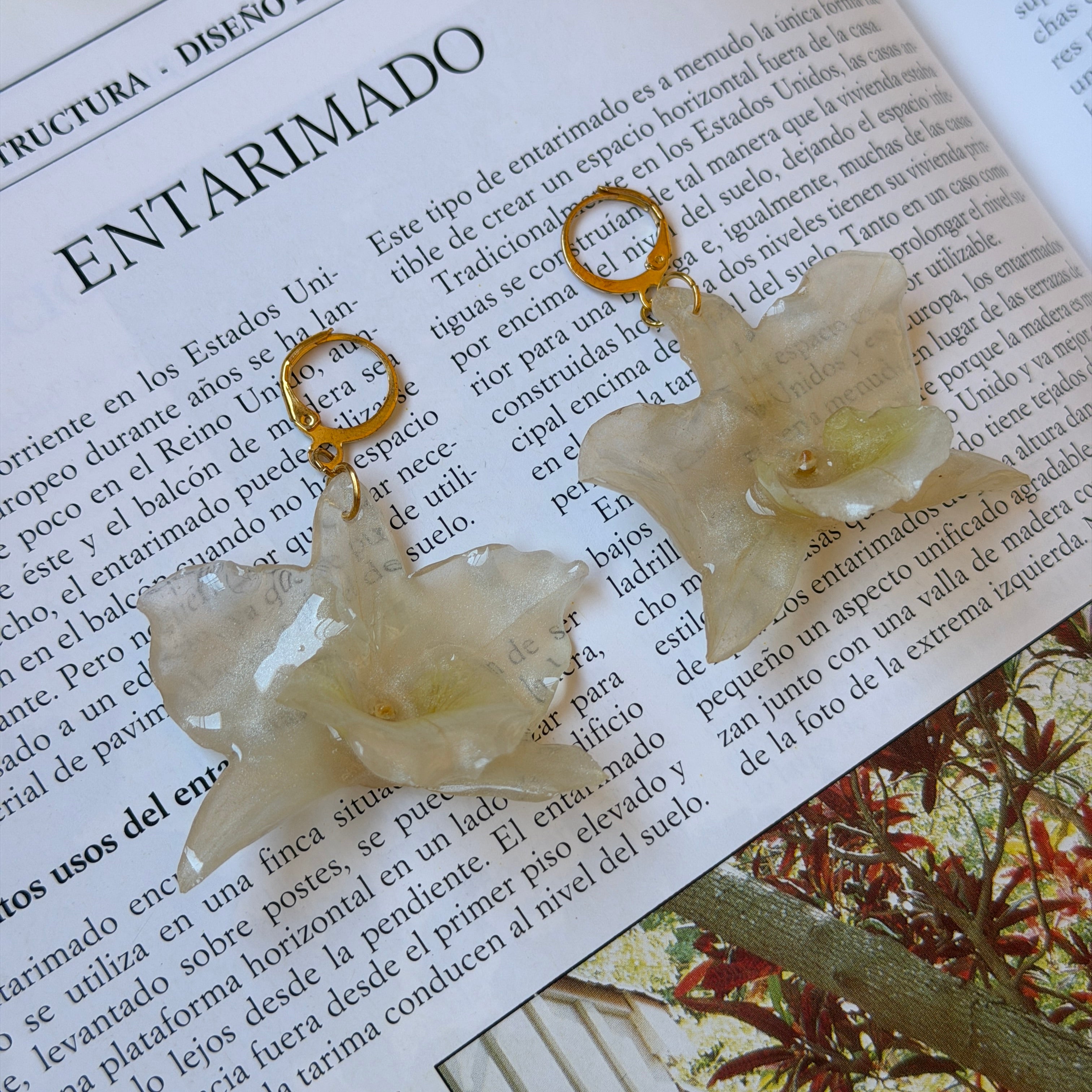 Pendientes de orquídea champán encapsulada en resina sobre una revista