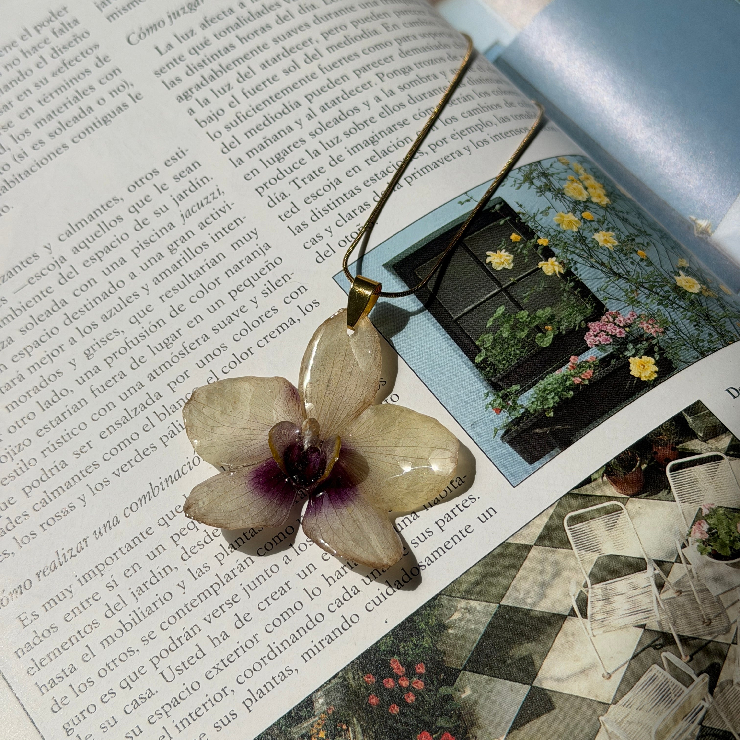 Colgante de orquídea blanco crema real preservada en resina sobre una revista abierta