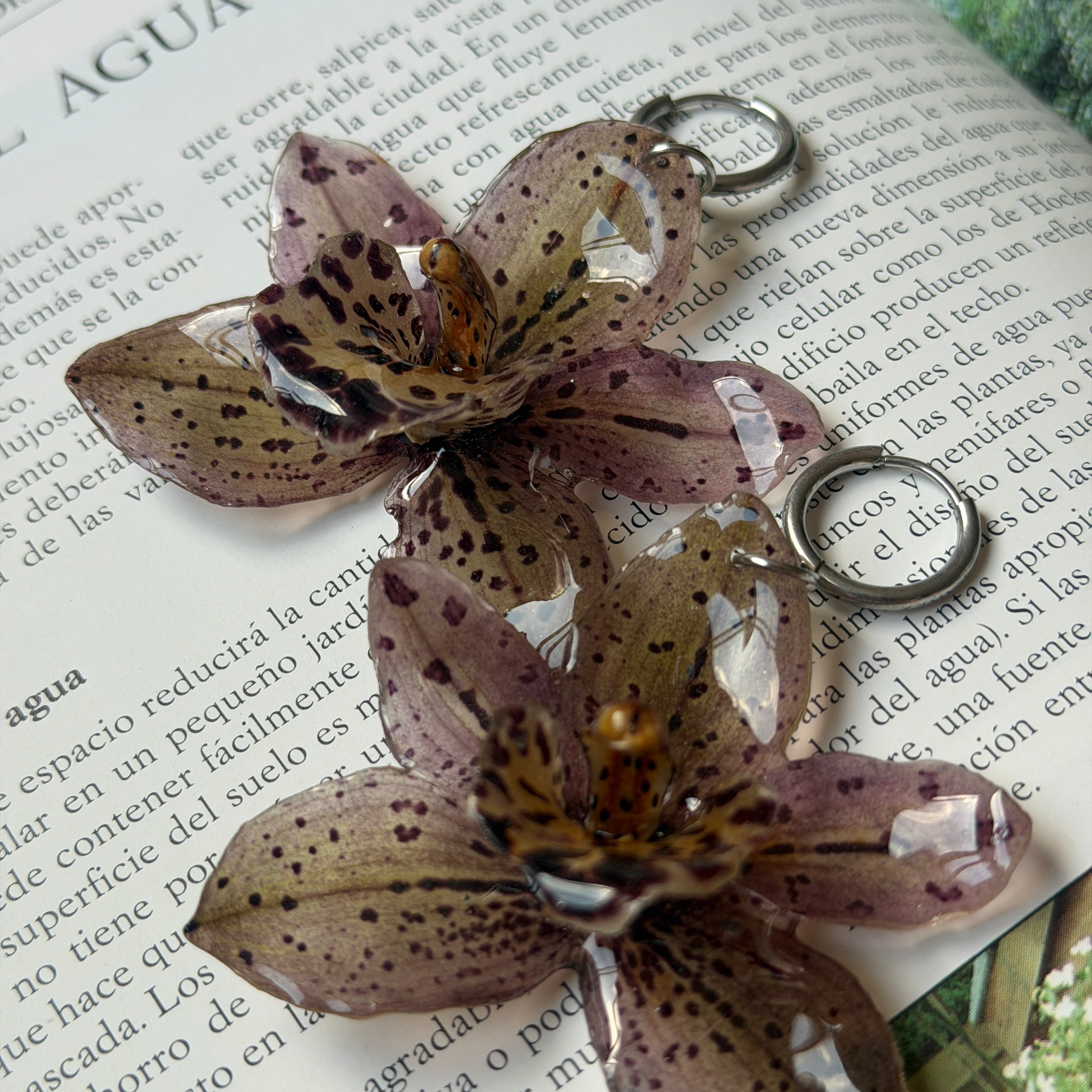 Detalle de orquídea malva moteada real preservada en resina, con labio crema y columna ámbar