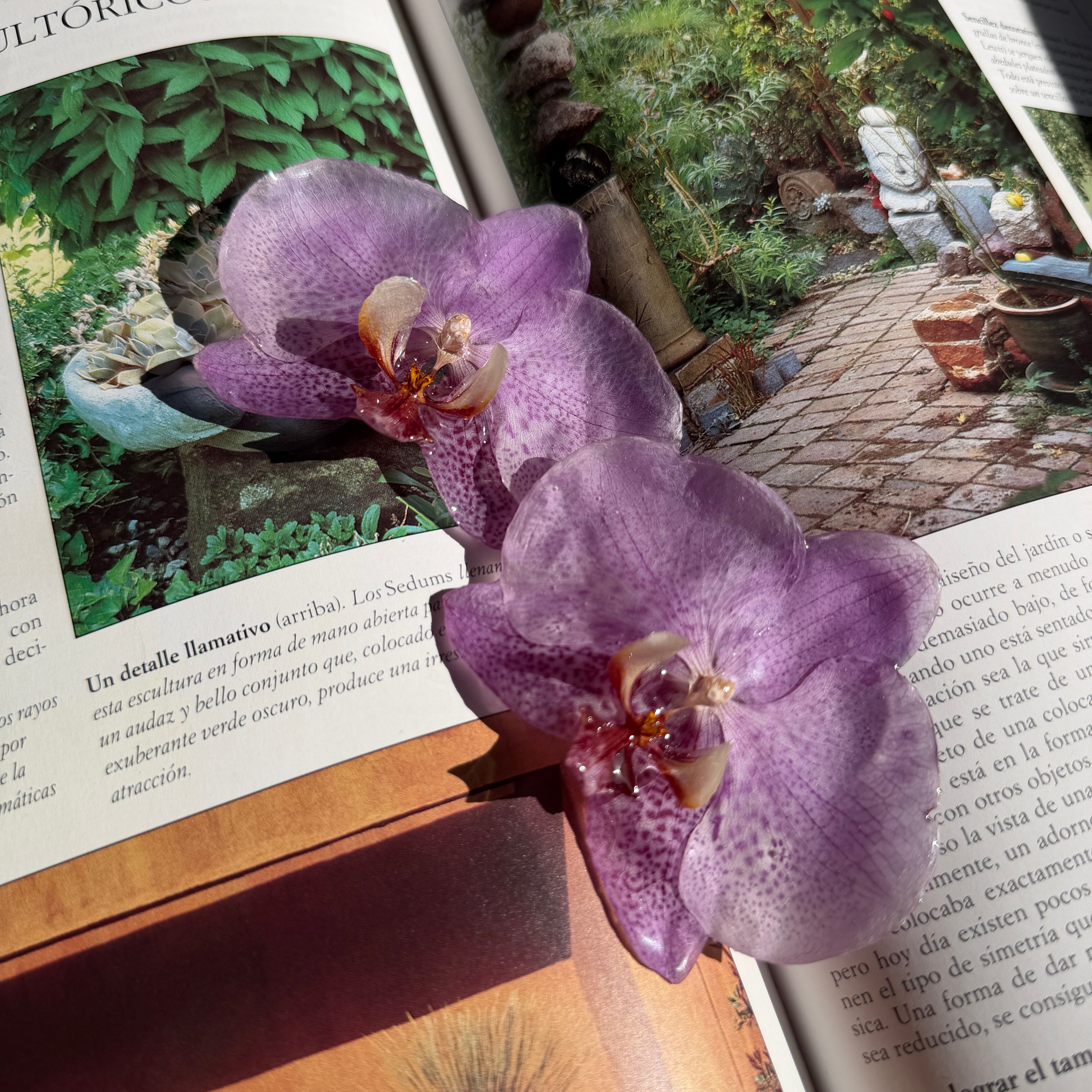 Pendientes de orquídea lila moteada de púrpura encapsulada en resina sobre un libro abierto al sol