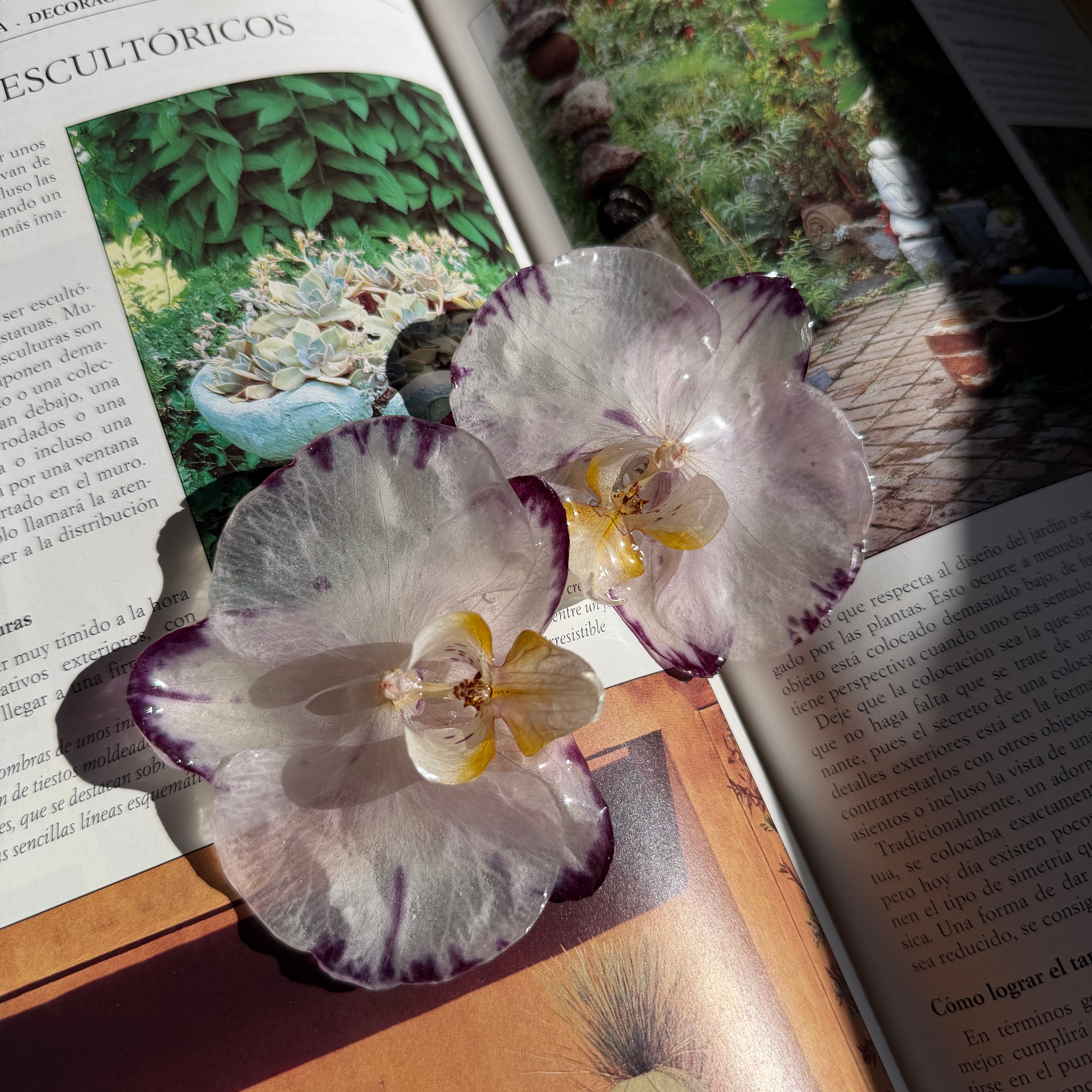 Pendientes de orquídea blanca y violeta encapsulada en resina sobre un libro abierto al sol