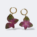 Pendientes con hortensia del fucsia al verde encapsulada en resina, sobre aros de acero inoxidable