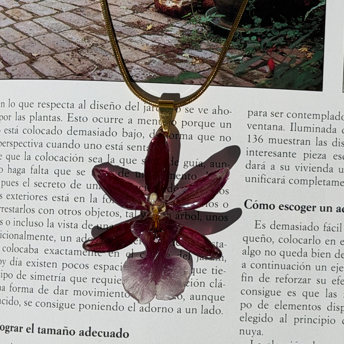 Detalle del cierre de mosquetón y la cadena de extensión de acero inoxidable del collar