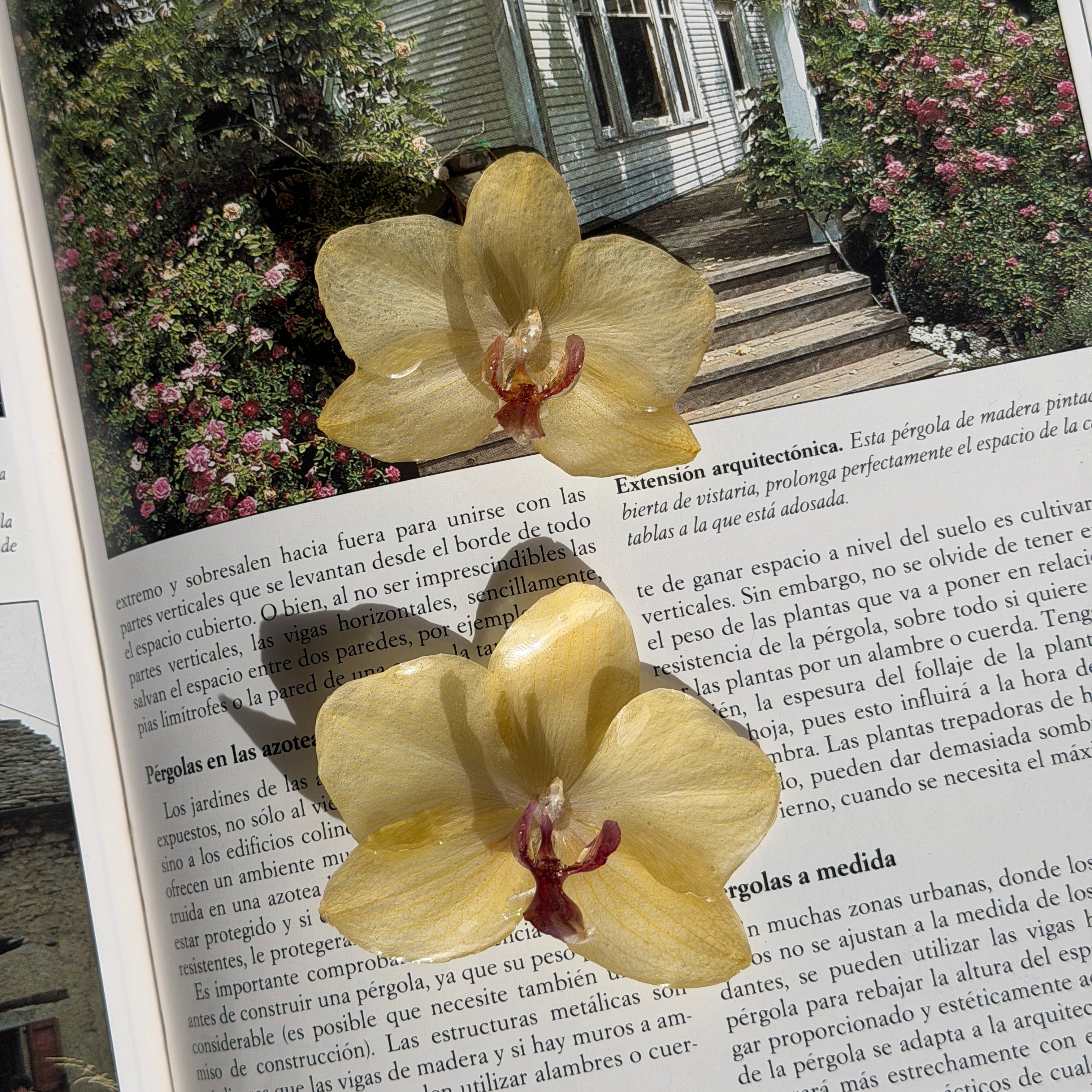 Pendientes de orquídea amarilla encapsulada en resina sobre una revista de jardín