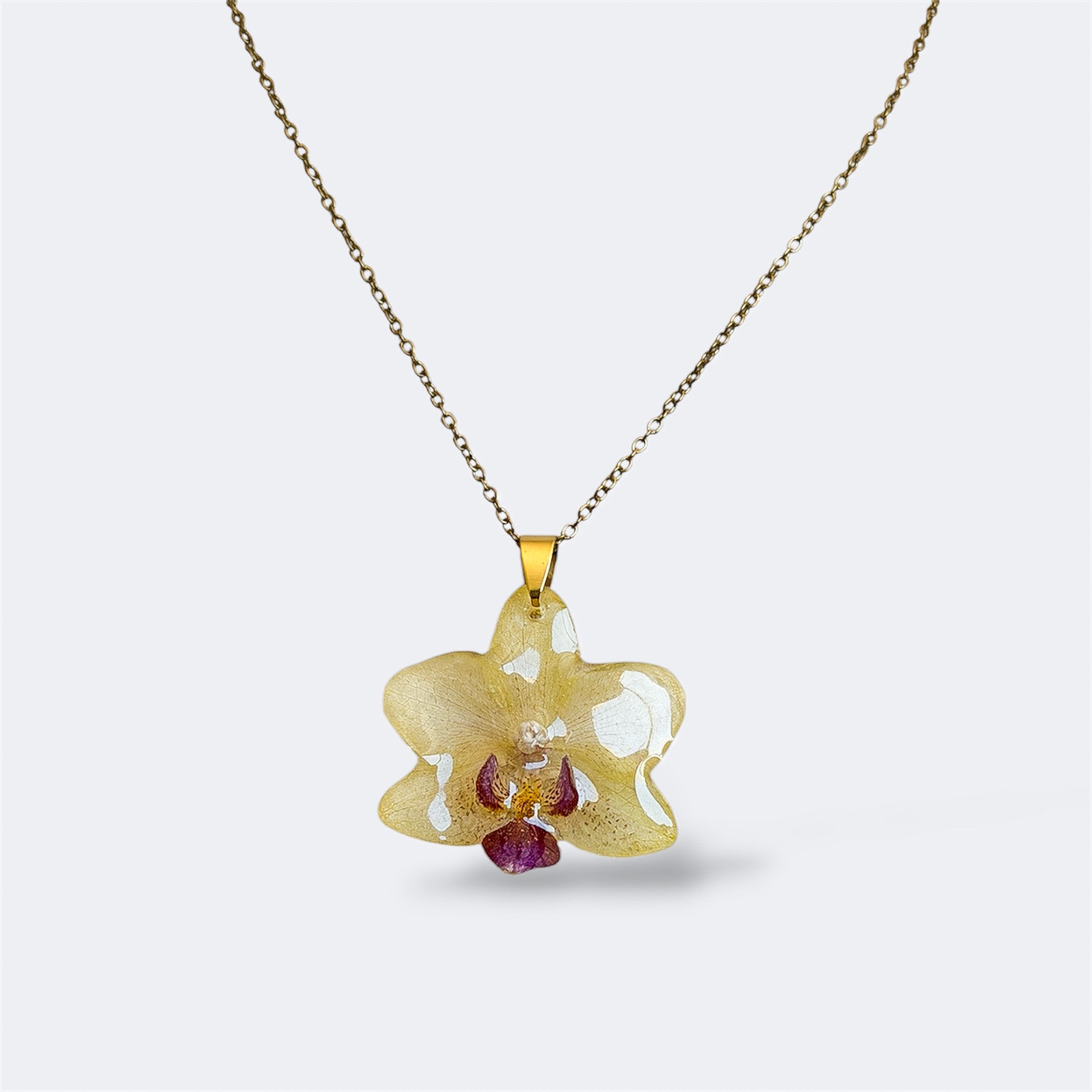 Collar con orquídea amarillo mantequilla y labelo burdeos encapsulada en resina, sobre cadena de acero inoxidable