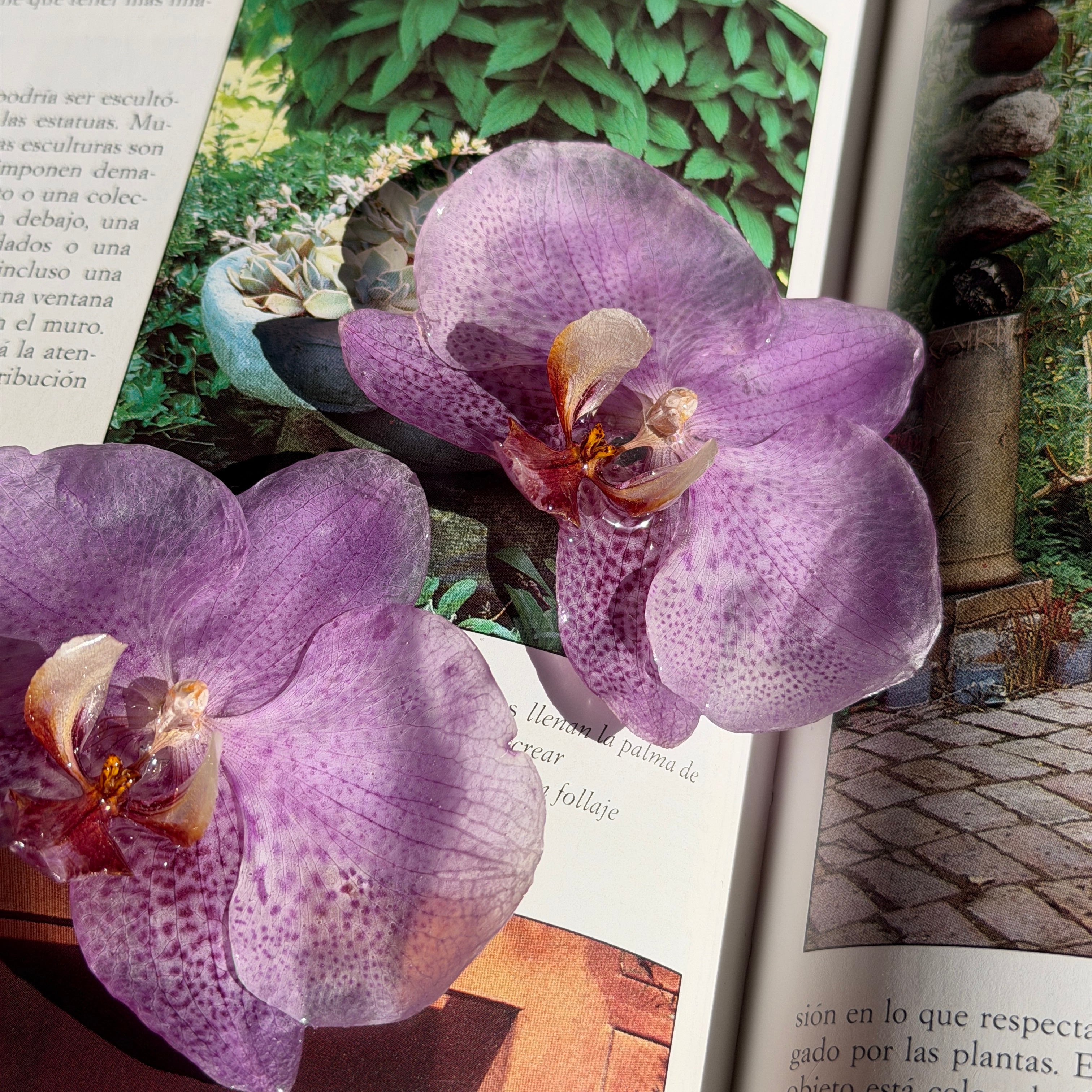Detalle de dos orquídeas lila preservadas en resina, con las venas marcadas y el centro granate