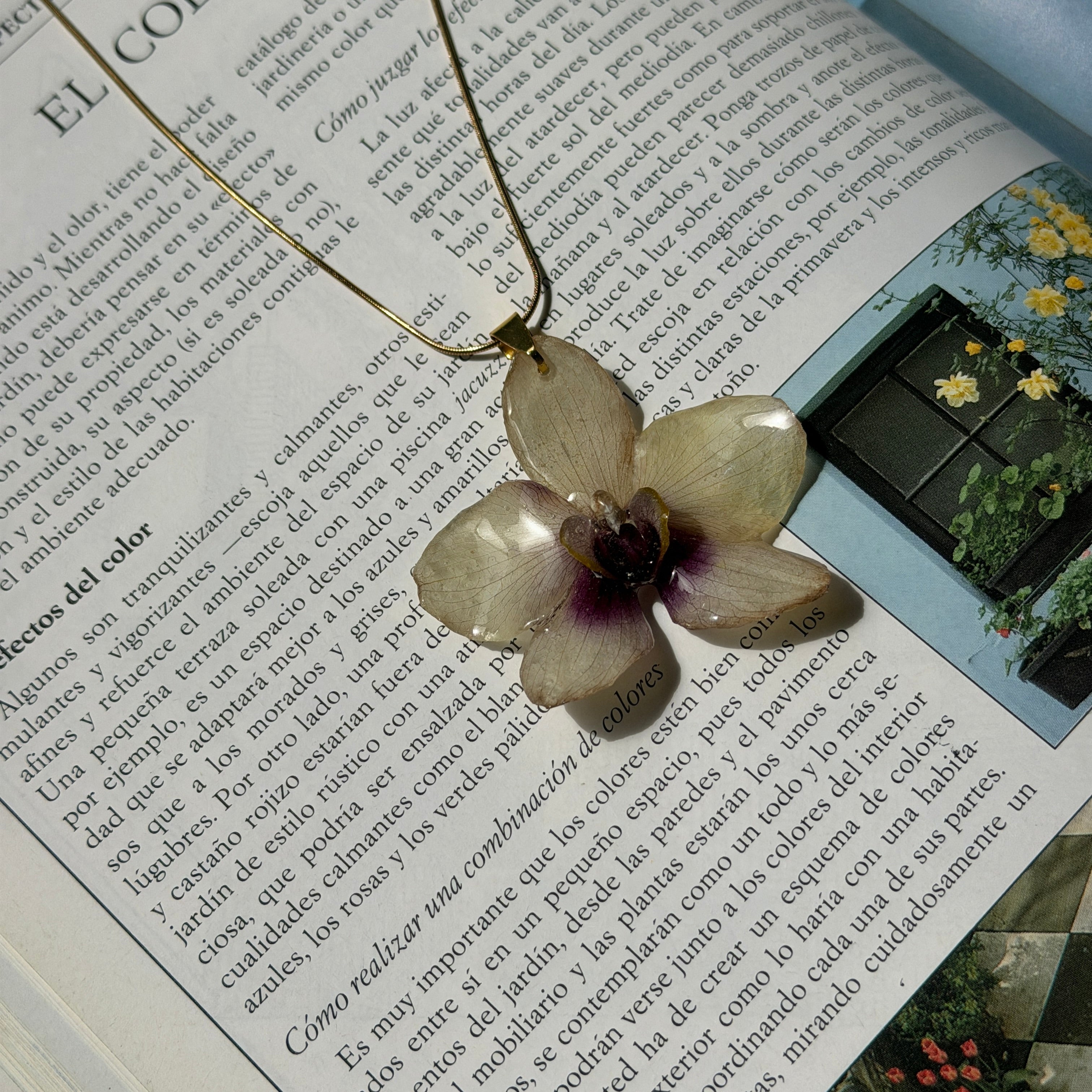 Detalle de orquídea blanco crema con centro morado, encapsulada en resina sobre una revista