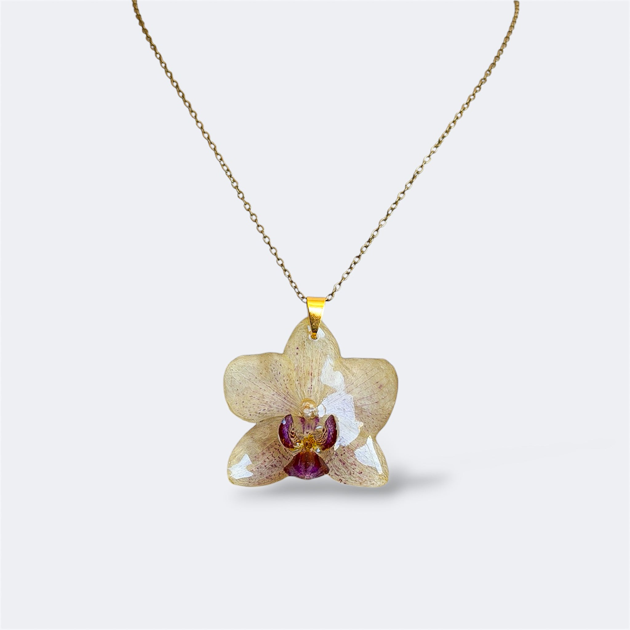Collar con orquídea blanco marfil y labelo magenta encapsulada en resina, sobre cadena de acero inoxidable