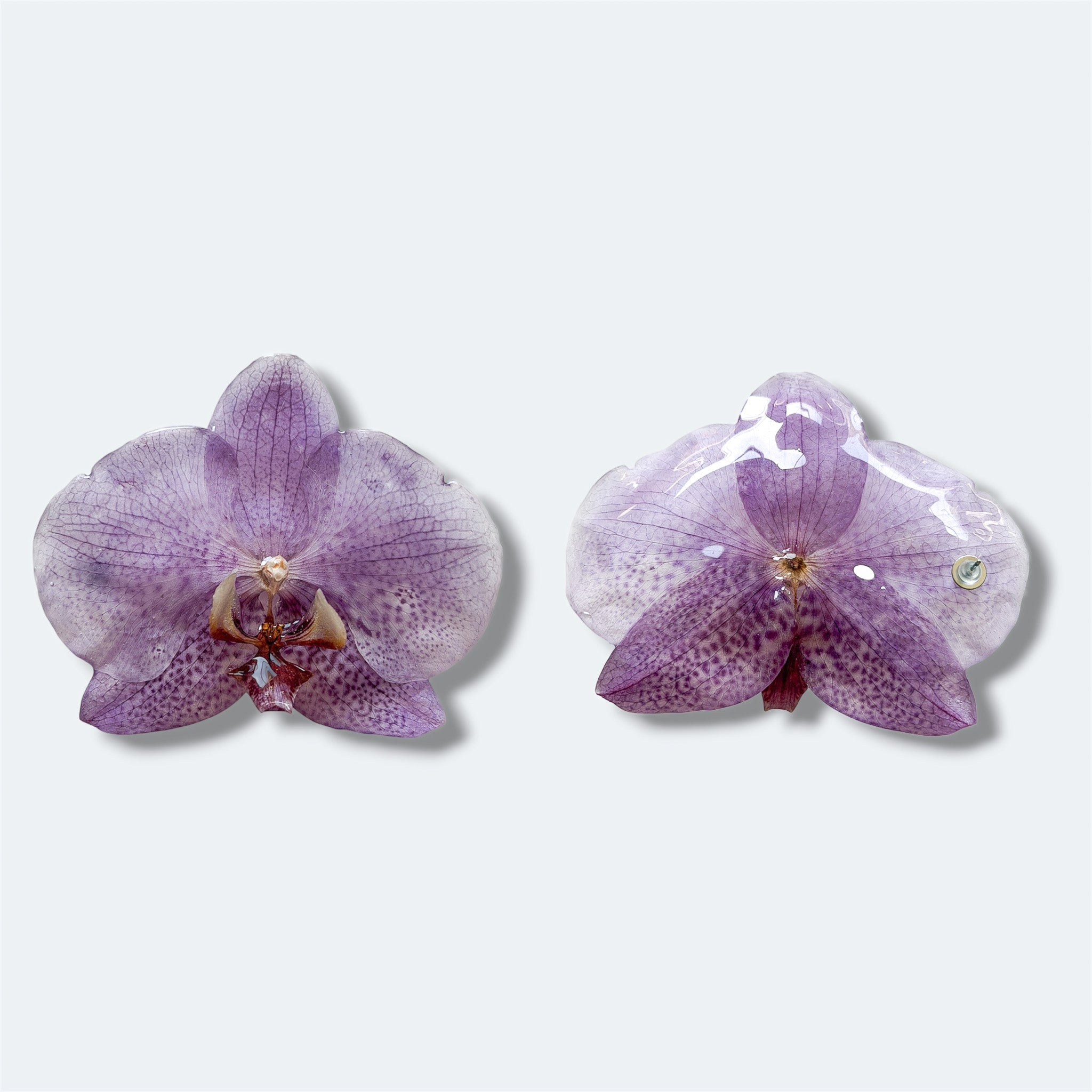 Pendientes de orquídea lila encapsulada en resina, anverso y reverso con enganche de acero inoxidable