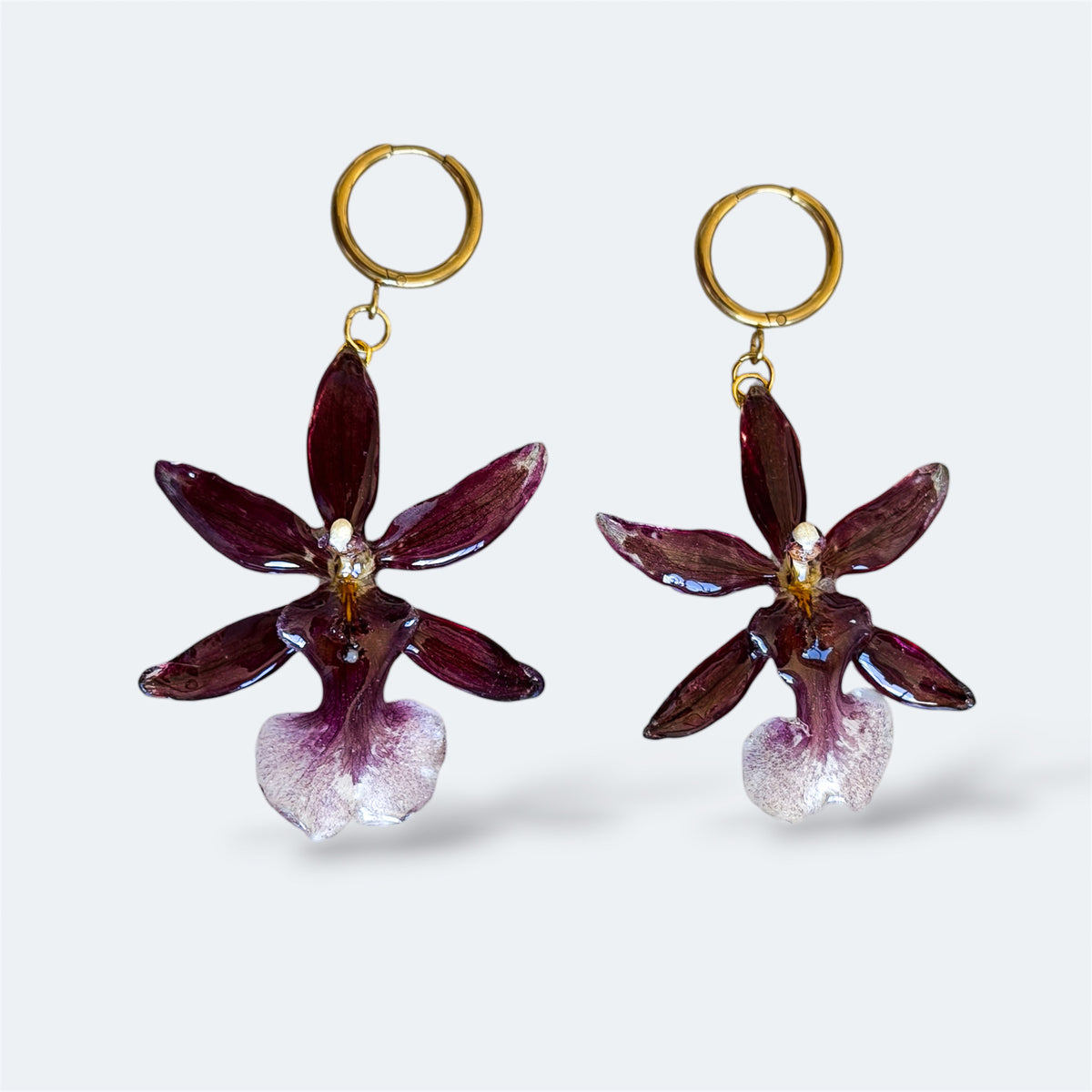 Pendientes con orquídeas Cambria burdeos encapsuladas en resina, sobre aros de acero inoxidable