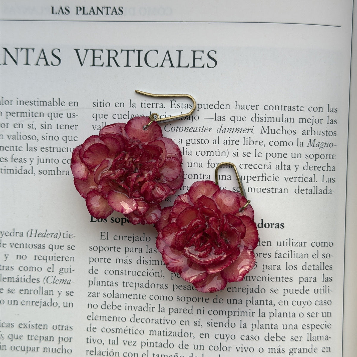 Pendientes Clavel Júpiter con anzuelo dorado, detalle