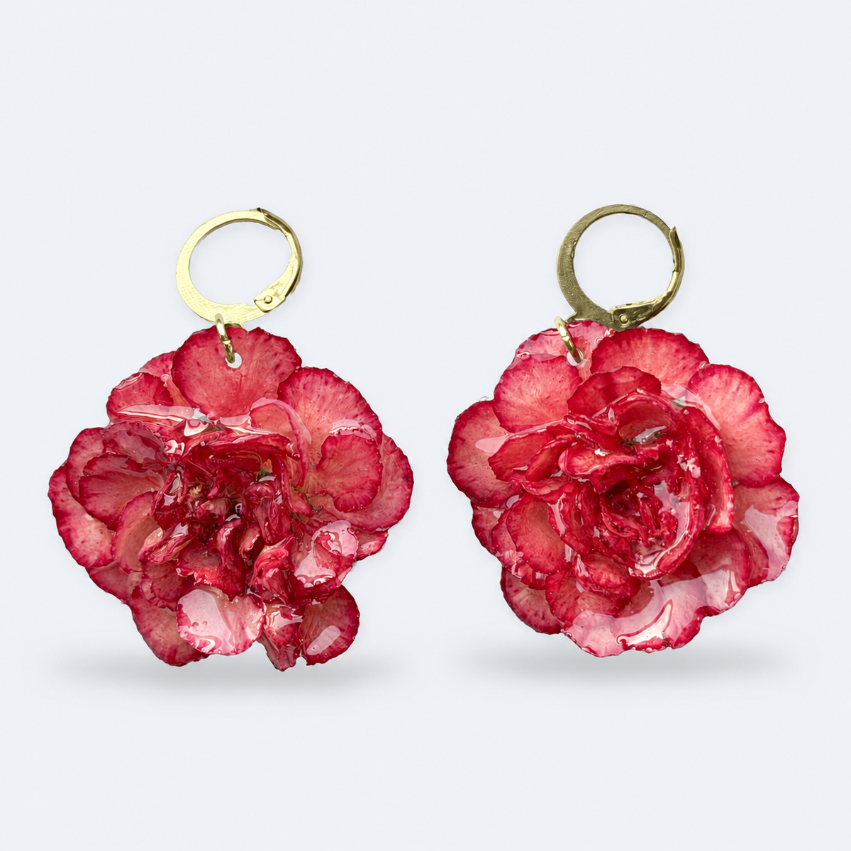 Pendientes Clavel Júpiter con aro dorado: claveles naturales rosa de bordes fucsia preservados en resina