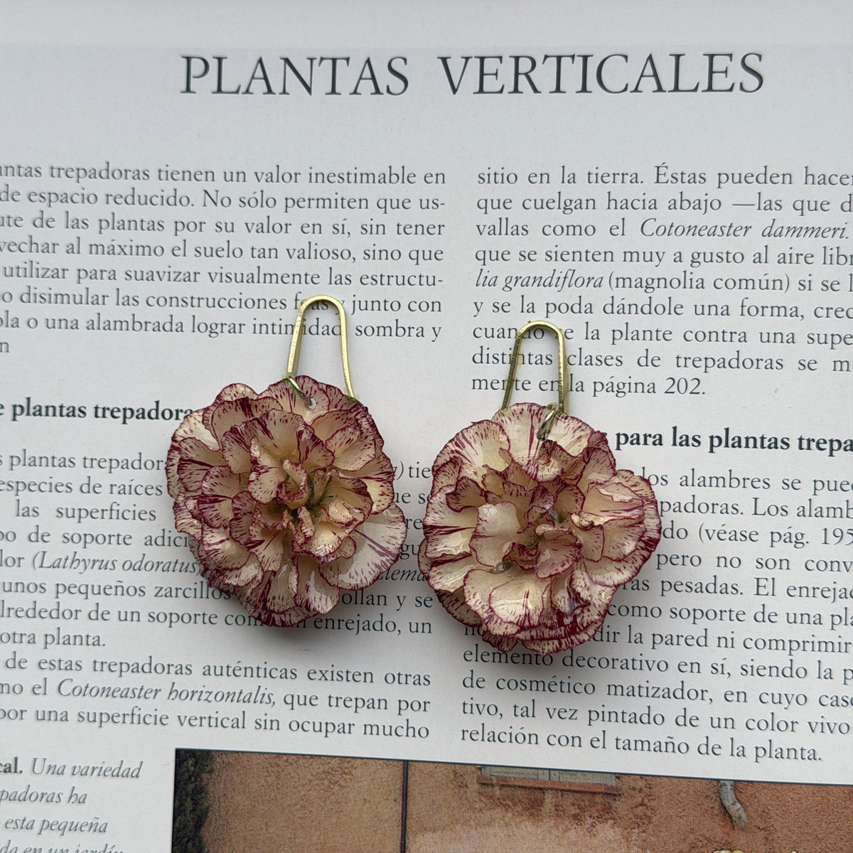 Pendientes Clavel Nácar con anzuelo dorado y un clavel, sobre un libro de plantas